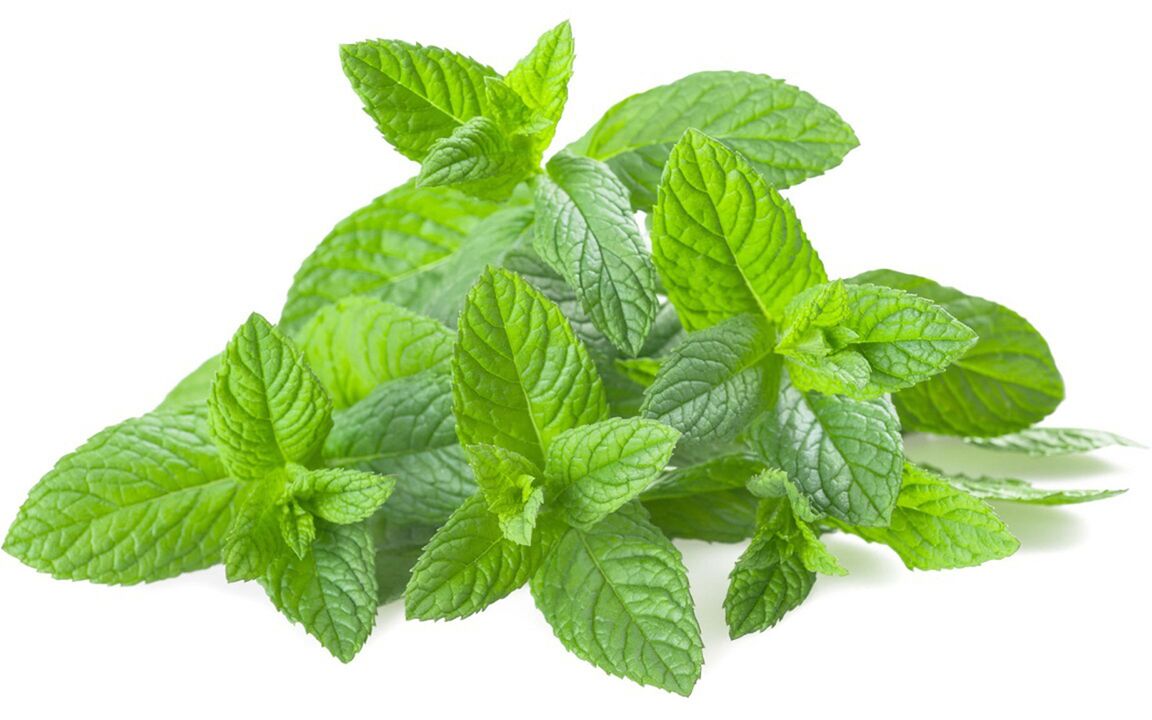 Mint oil Hondrolife