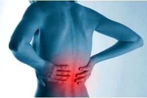 Location of osteochondrosis of the spine